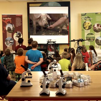 Kinder schauen auf eine Leinwand einen Film zur Bioenergie, im Vordergrund stehen zahlreiche Mikroskope