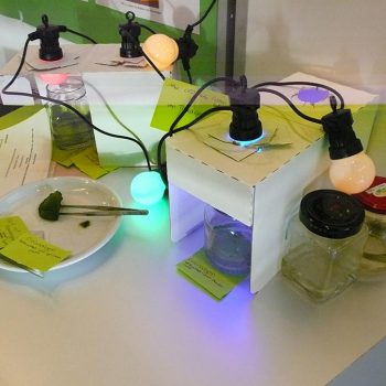 Ein Forschungsaufbau mit Leuchten und Reagenzgläsern in der Jugend forscht Ausstellung