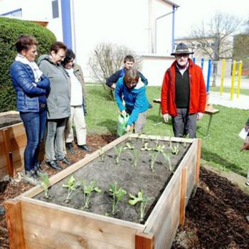 Eine Gruppe um ein Hochbeet im Garten stehend