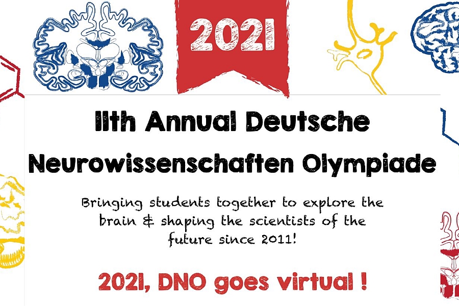 Ankündigung zur Neurowissenschaften Olympiade 2021